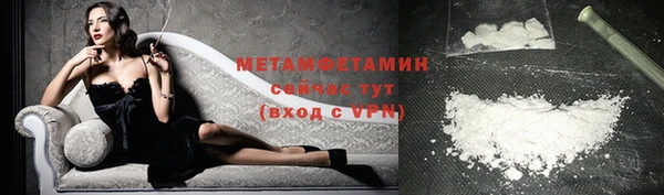 стаф Волосово