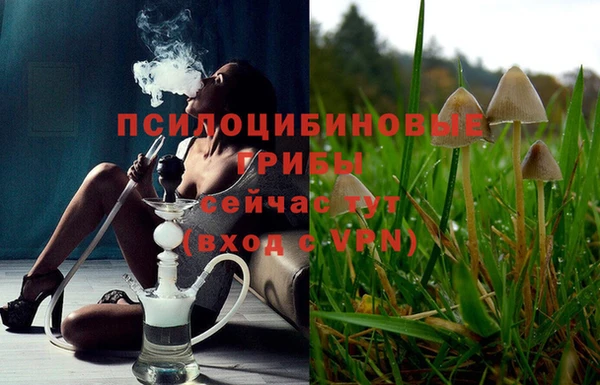 первитин Володарск