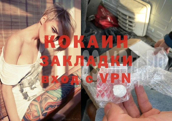 стаф Волосово
