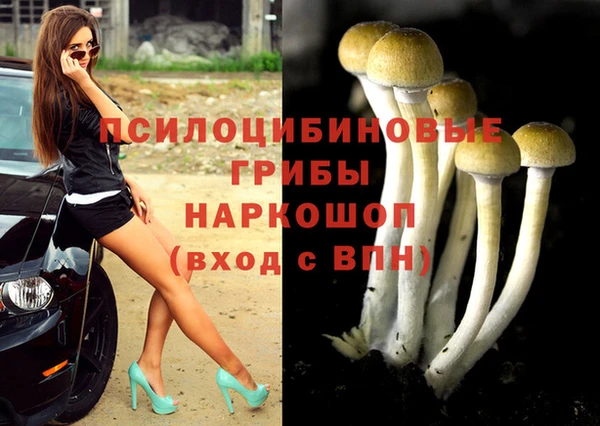 первитин Володарск