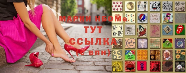 стаф Волосово